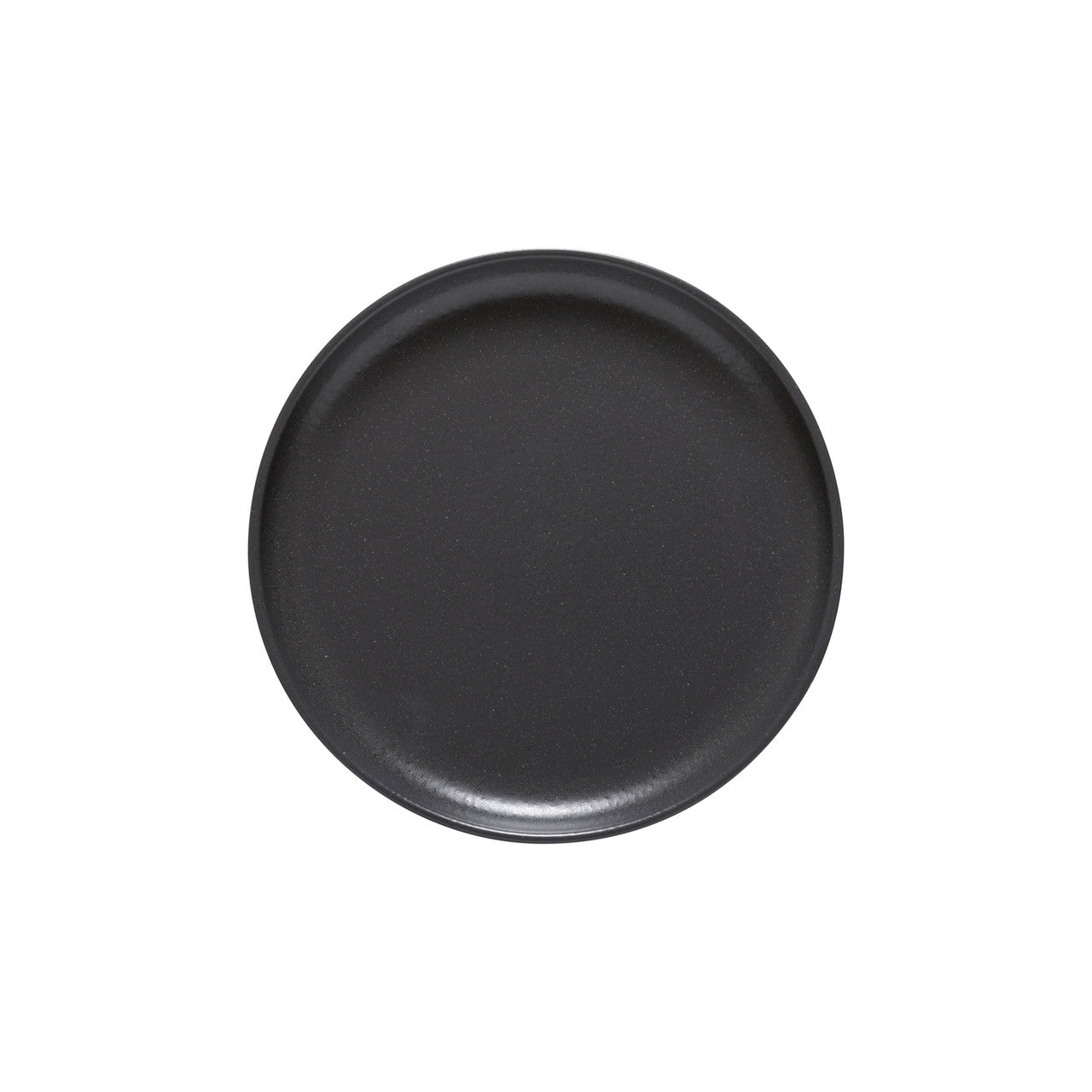 Casafina Pacifica Set of 6 Salad Plates - Seed Grey