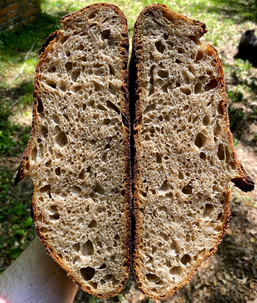 OCT 3 2026 10:30AM: An Introduction to Sourdough - Hands On