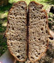OCT 3 2026 10:30AM: An Introduction to Sourdough - Hands On