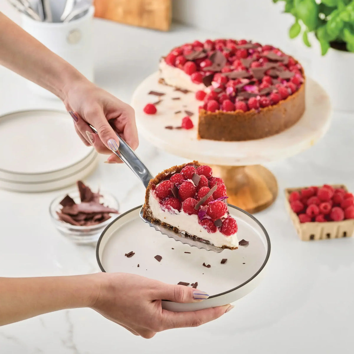 Hestan Provisions Stainless Steel Cake and Pie Server - 10.5”