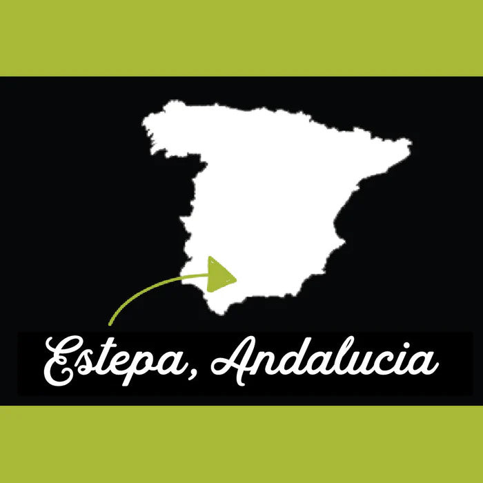 Olivelle Seville Spanish Extra Virgin Olive Oil
